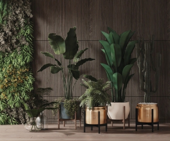 Modern Potted Green Plant-ID:342584171