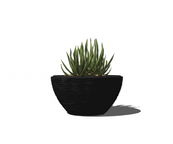 Modern Potted Green Plant-ID:600775721