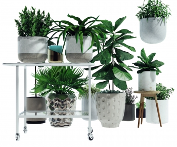 Modern Potted Green Plant-ID:629862835
