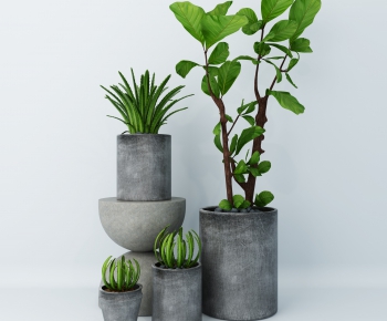 Modern Potted Green Plant-ID:298584948