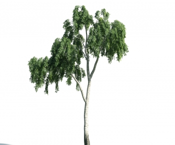 Modern Tree-ID:833013585