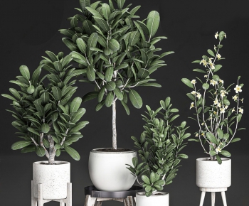 Modern Potted Green Plant-ID:625582196