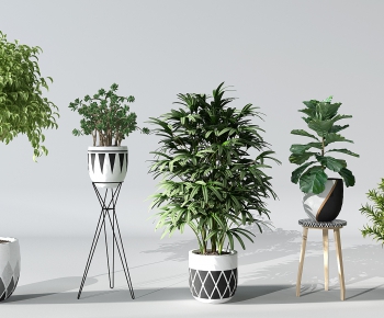 Modern Potted Green Plant-ID:785665466
