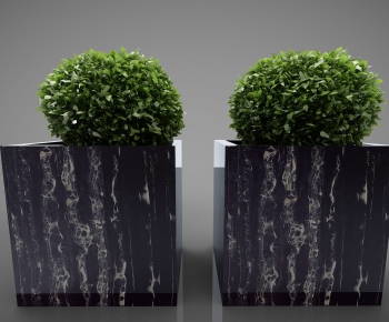 Modern Potted Green Plant-ID:577308935