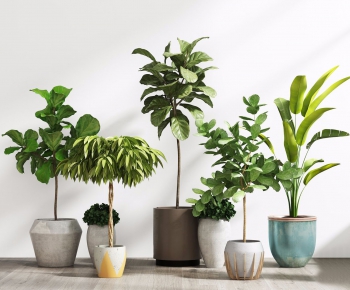 Modern Potted Green Plant-ID:740457584