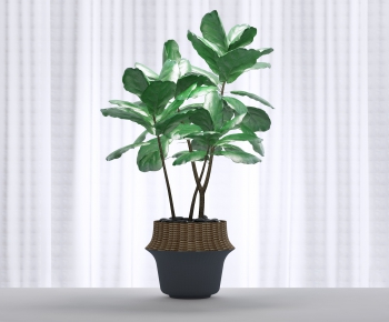 Modern Potted Green Plant-ID:489478544