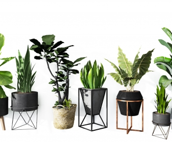 Modern Potted Green Plant-ID:856841912