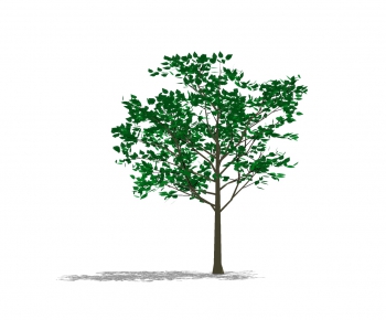 Modern Tree-ID:379233152