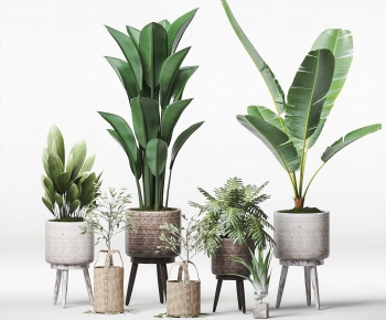 Nordic Style Potted Green Plant-ID:876771658