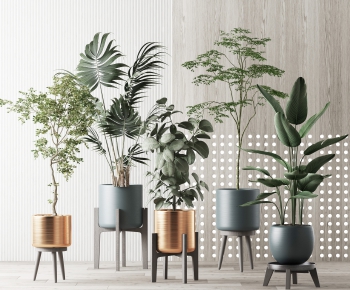 Modern Potted Green Plant-ID:326237379