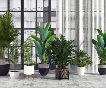 Modern Potted Green Plant-ID:136914851