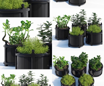 Modern Potted Green Plant-ID:588286225