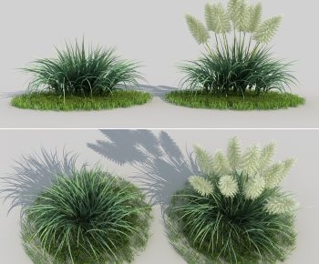 Modern Shrubbery-ID:355625647