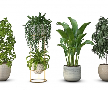 Modern Potted Green Plant-ID:895973874