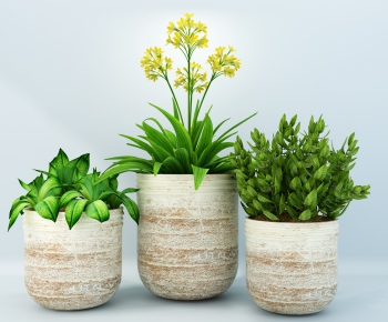 Modern Potted Green Plant-ID:730224365