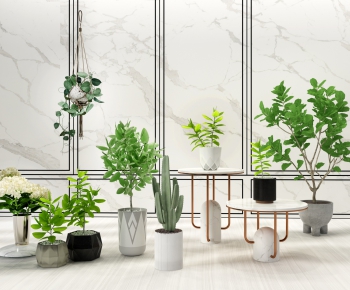 Modern Potted Green Plant-ID:636816386