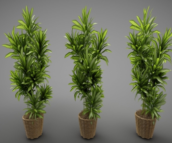 Modern Potted Green Plant-ID:632257455