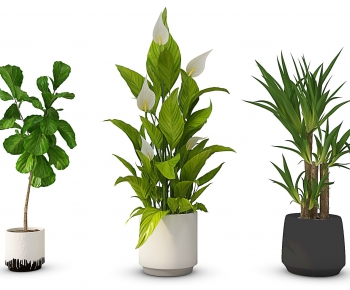 Modern Potted Green Plant-ID:973944322