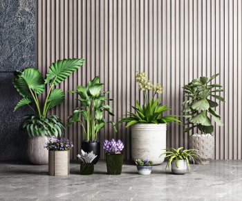 Modern Potted Green Plant-ID:281529593