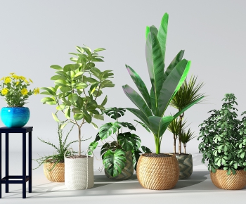 Modern Potted Green Plant-ID:756177968