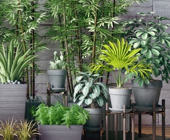 Modern Potted Green Plant-ID:804153734