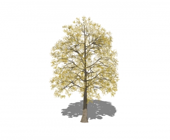 Modern Tree-ID:578761769