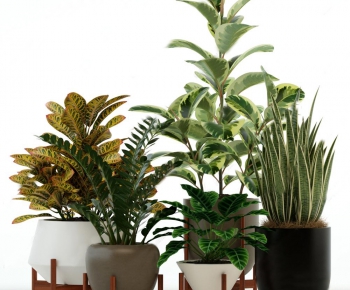 Modern Potted Green Plant-ID:155169717