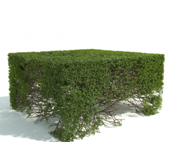 Modern Shrubbery-ID:569527926