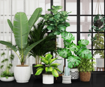 Modern Potted Green Plant-ID:340244223