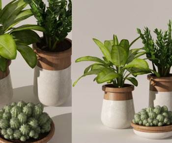 Modern Potted Green Plant-ID:944611792