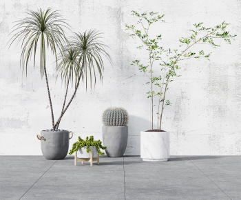 Modern Potted Green Plant-ID:913799864