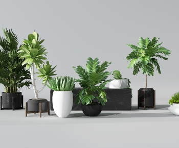 Modern Potted Green Plant-ID:414315763