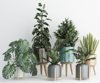 Modern Potted Green Plant-ID:593698318