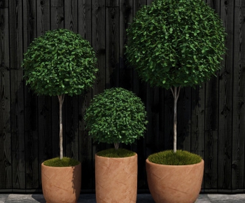 Modern Potted Green Plant-ID:621805938