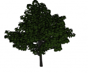 Modern Tree-ID:756192632