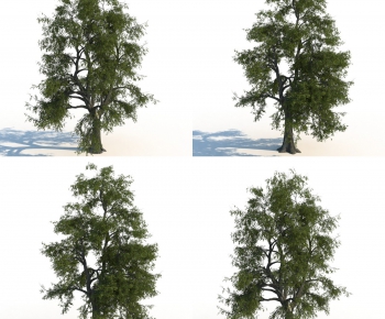 Modern Tree-ID:609233121