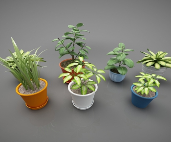 Modern Potted Green Plant-ID:656565552