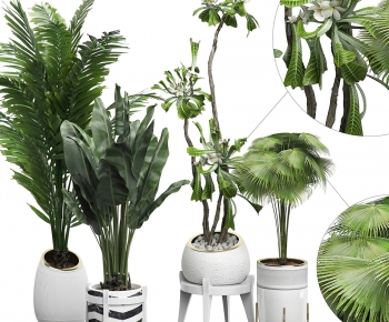 Modern Potted Green Plant-ID:852877721