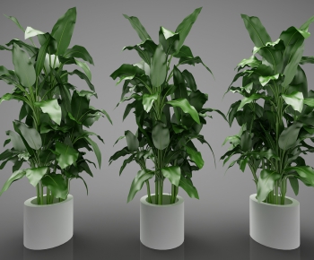 Modern Potted Green Plant-ID:636203366