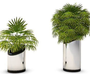 Modern Potted Green Plant-ID:460441426