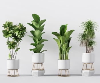 Modern Potted Green Plant-ID:182315793