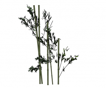Modern Bamboo-ID:299471541