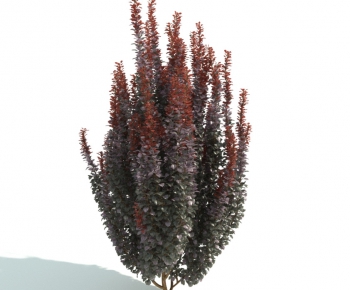 Modern Shrubbery-ID:591295117