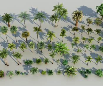 现代椰树棕榈树热带树木组合-ID:210233722