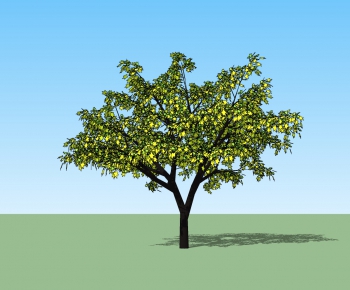 Modern Tree-ID:455372397