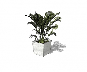 Modern Potted Green Plant-ID:511699938