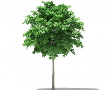 Modern Tree-ID:888245483