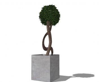 Modern Potted Green Plant-ID:276286694