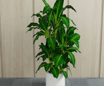 Modern Potted Green Plant-ID:716571361