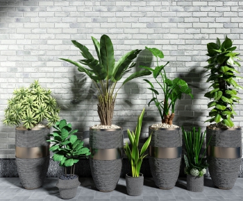 Modern Potted Green Plant-ID:620702739